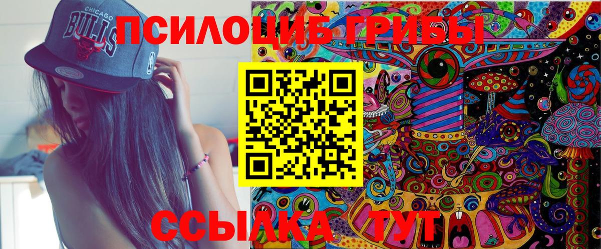 Дубна  Псилоцибиновые грибы Psilocybine cubensis  Галлюциногенные грибы Magic Shrooms  Вход с VPN 